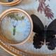 Vintage bamboo tray + 6 butterfly coasters from the 70s