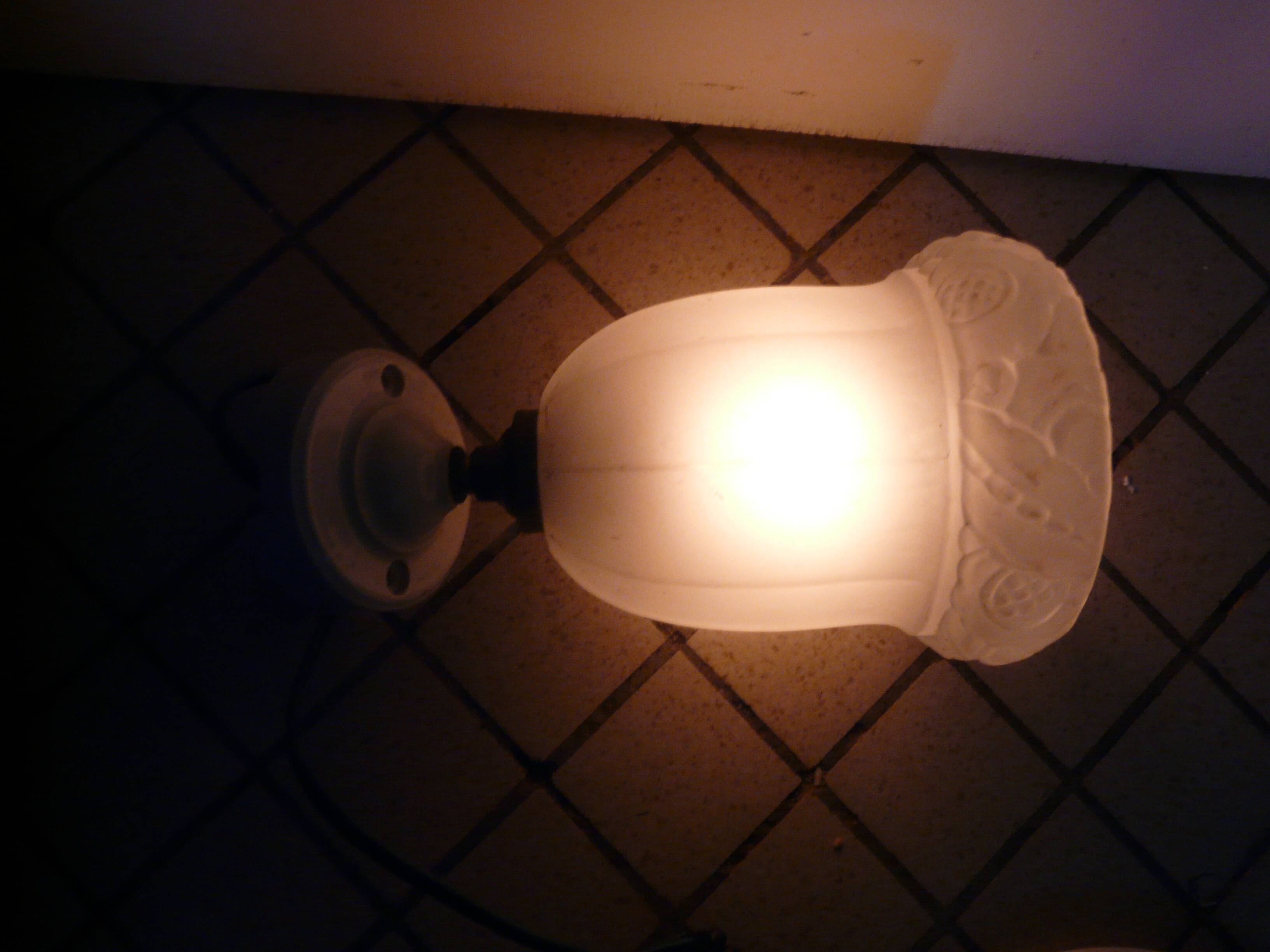 Art Deco porcelain tulip wall lamp in molded glass with flower decoration