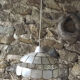 Lustre en nacre et laiton
