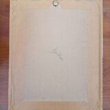 Framed lithograph by J. Gould and HC Richter