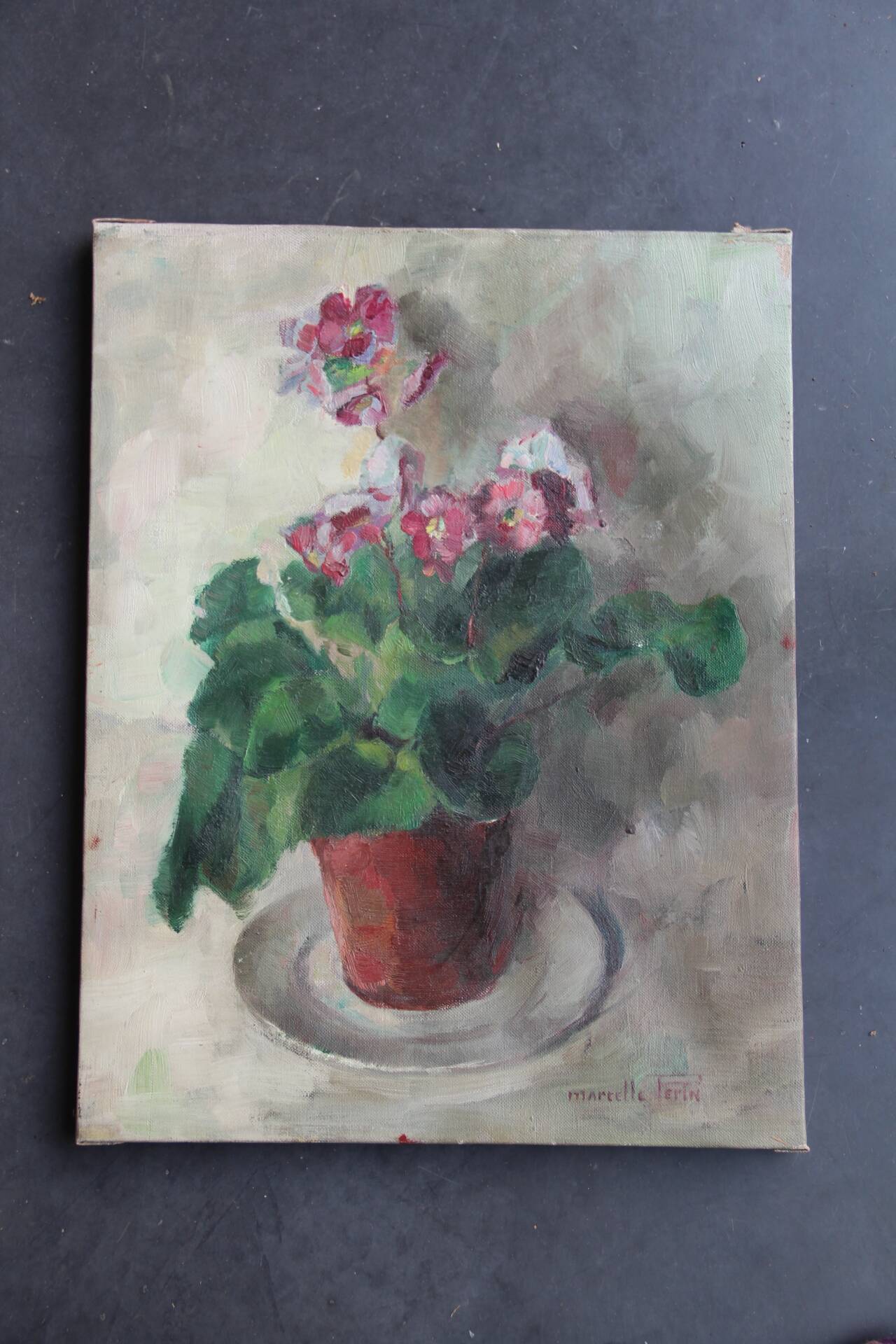 Oil on canvas primroses
