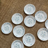 10 assiettes plates arcopal Myosotis