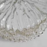 Ceiling light