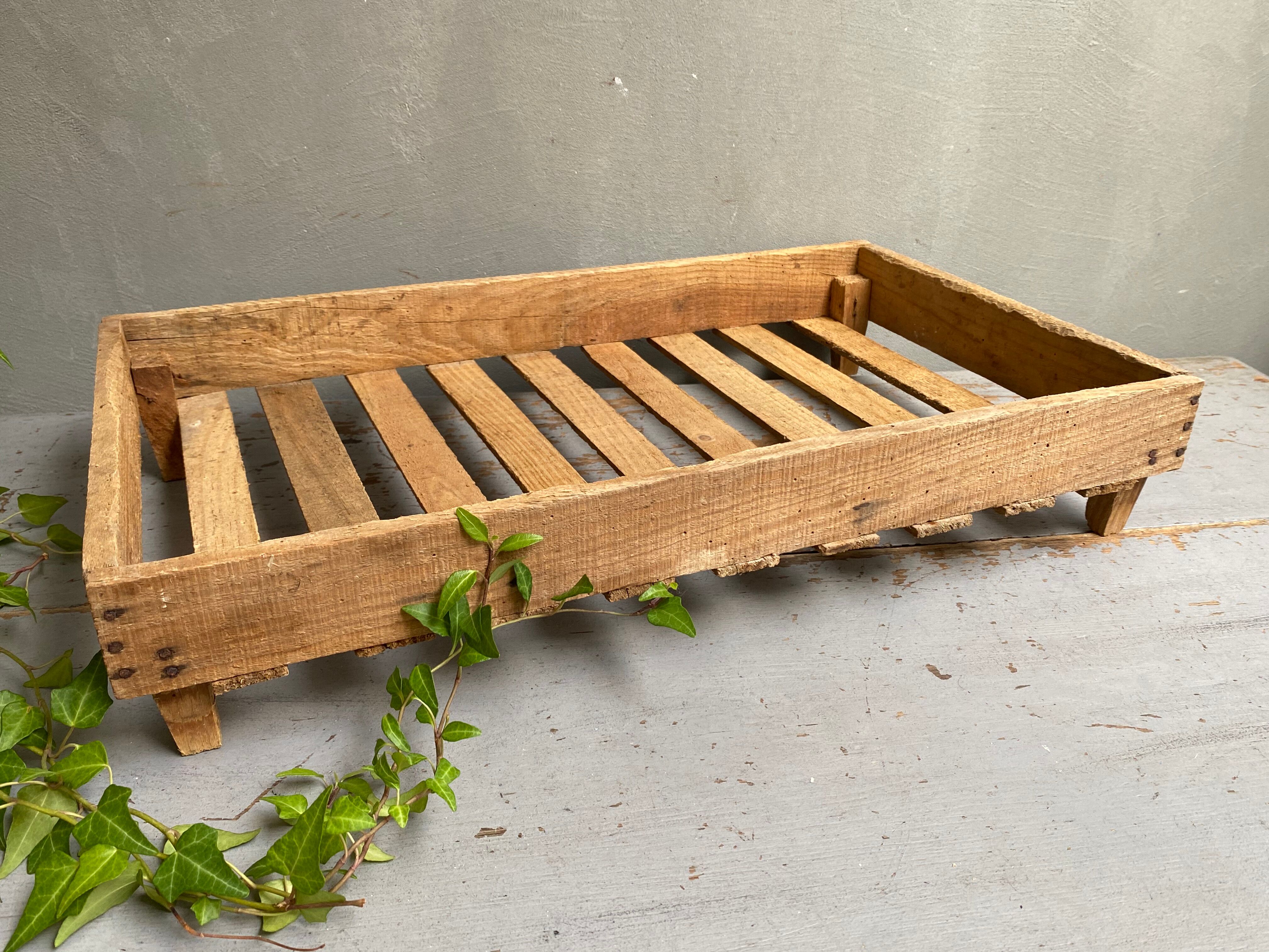 Market gardener tray