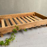 Market gardener tray