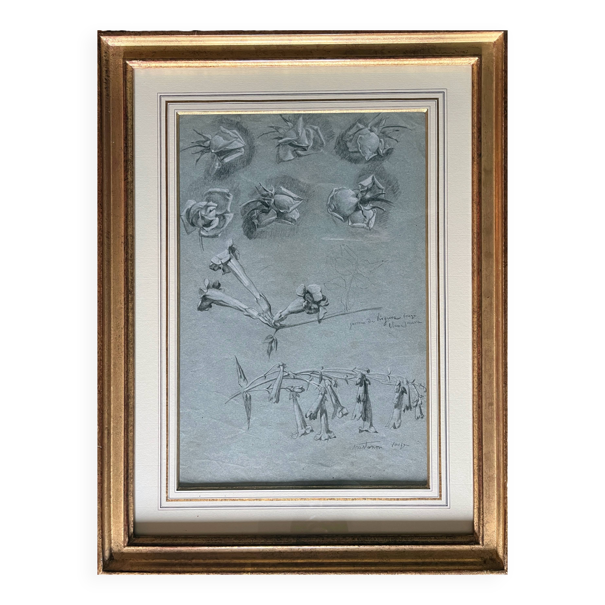 Painting Botanical flower studies Roses Jasmine 19th century + frame