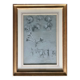Painting Botanical flower studies Roses Jasmine 19th century + frame
