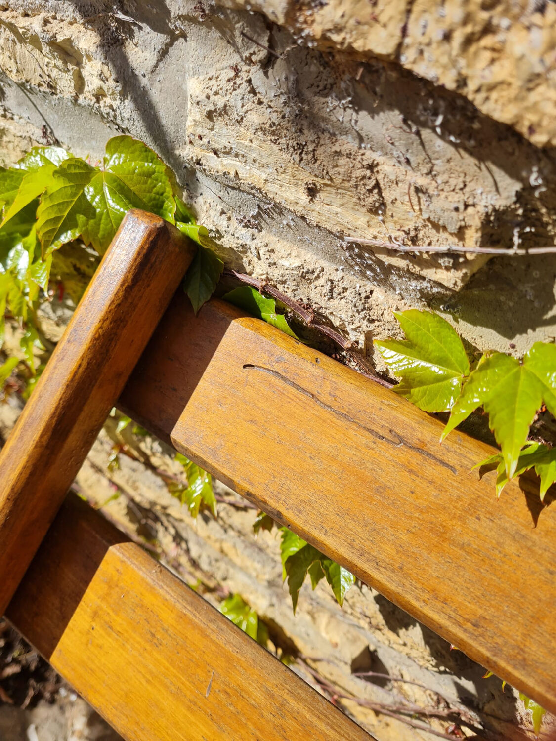 Lot de 7 chaises en bois