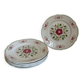 6 dinner plates