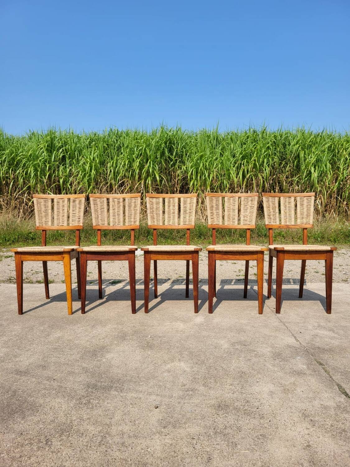 Set 6 vintage Dutch Design chair Mart Stam a2-1 wood rush rustic 1947