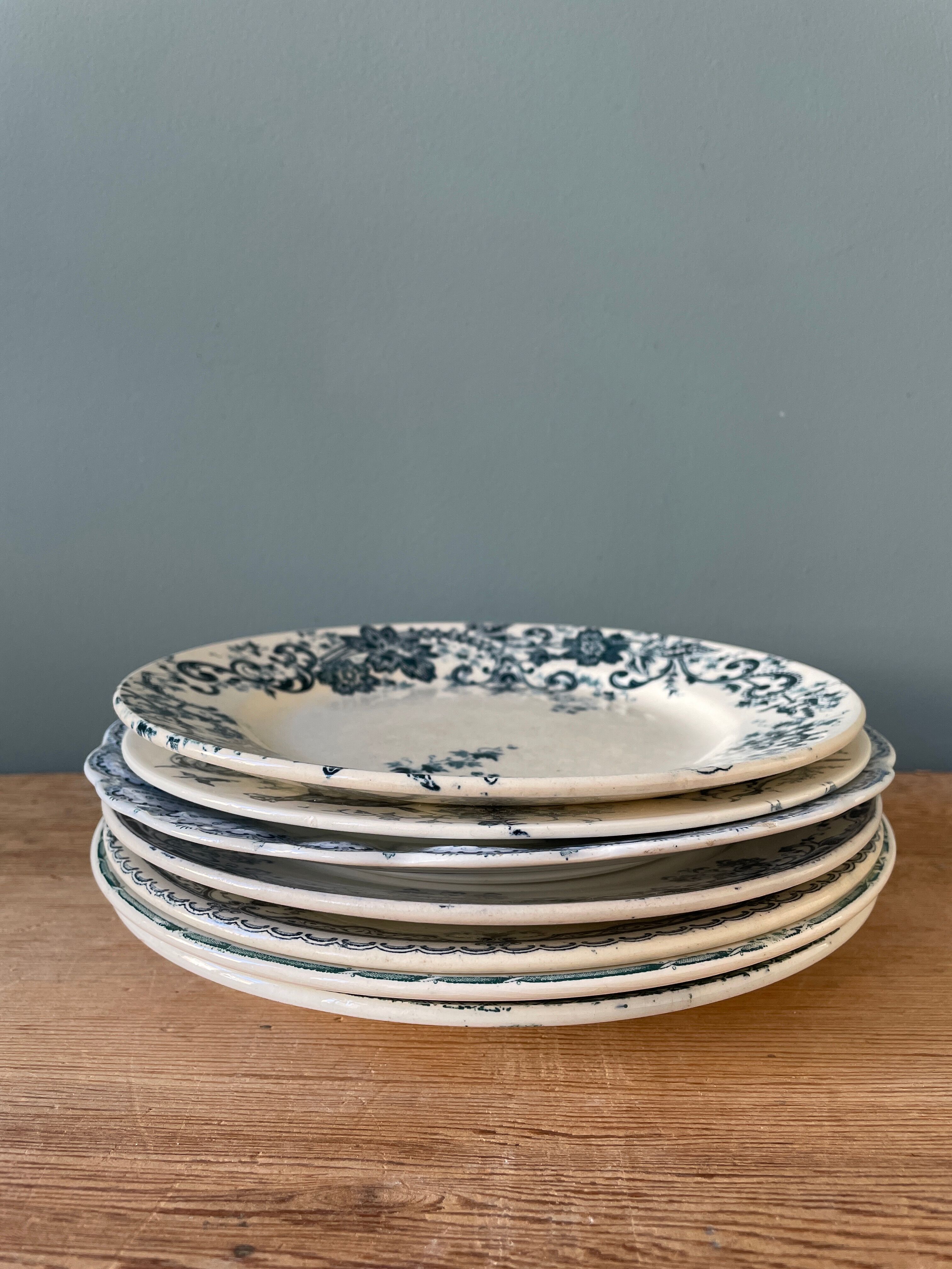 Set of 7 plates Terre de Fer XIXth mismatched