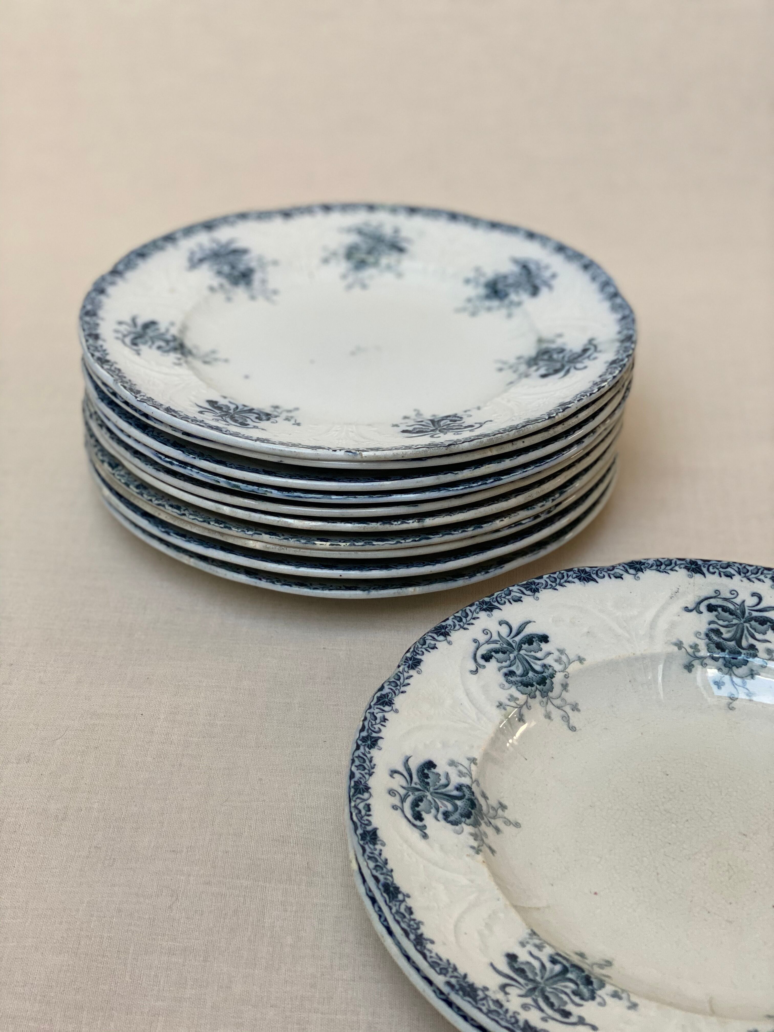 Plates iron earth flowers