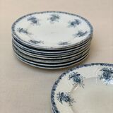 Plates iron earth flowers