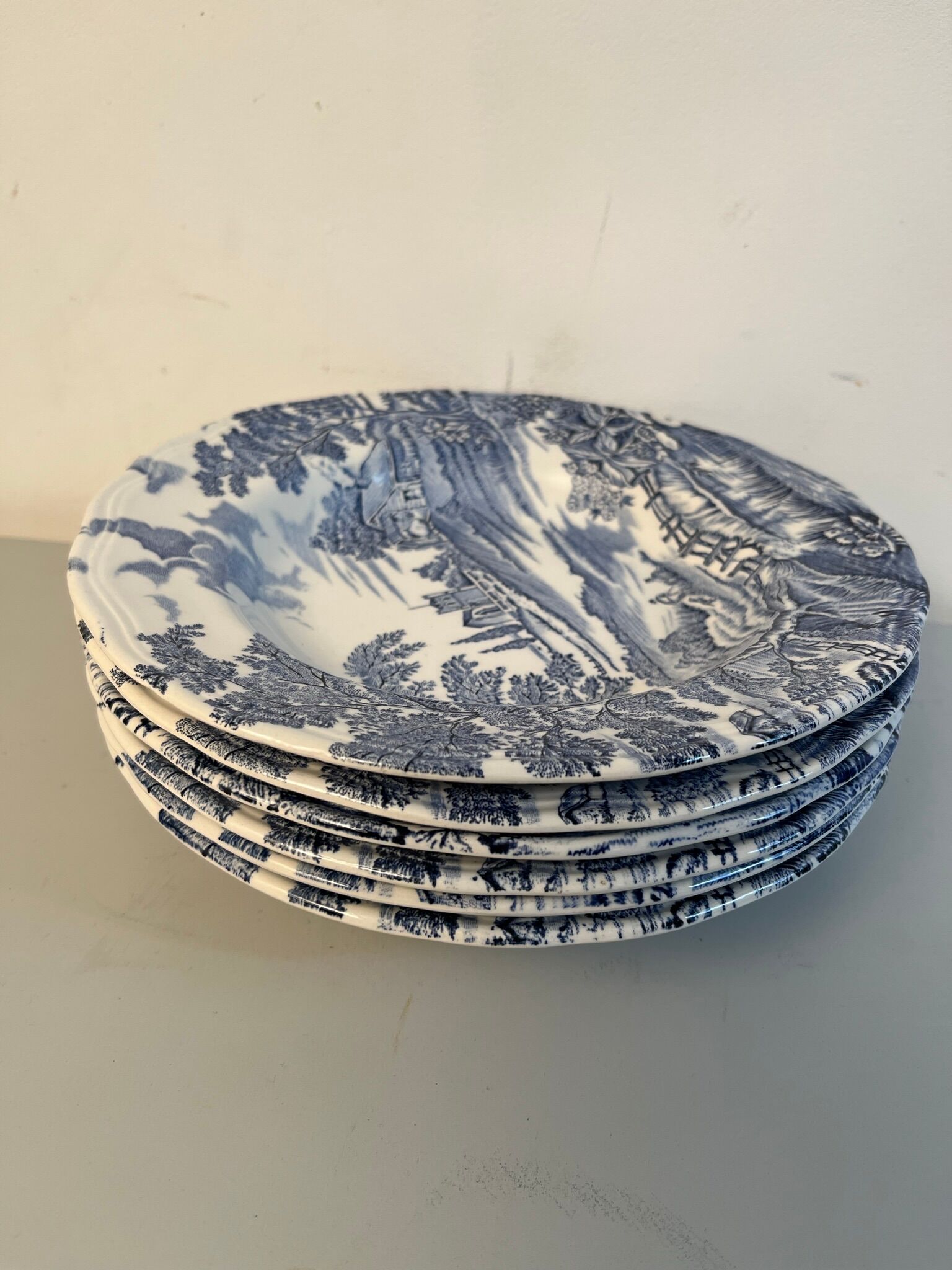 6 Hollow plates English Vintage style