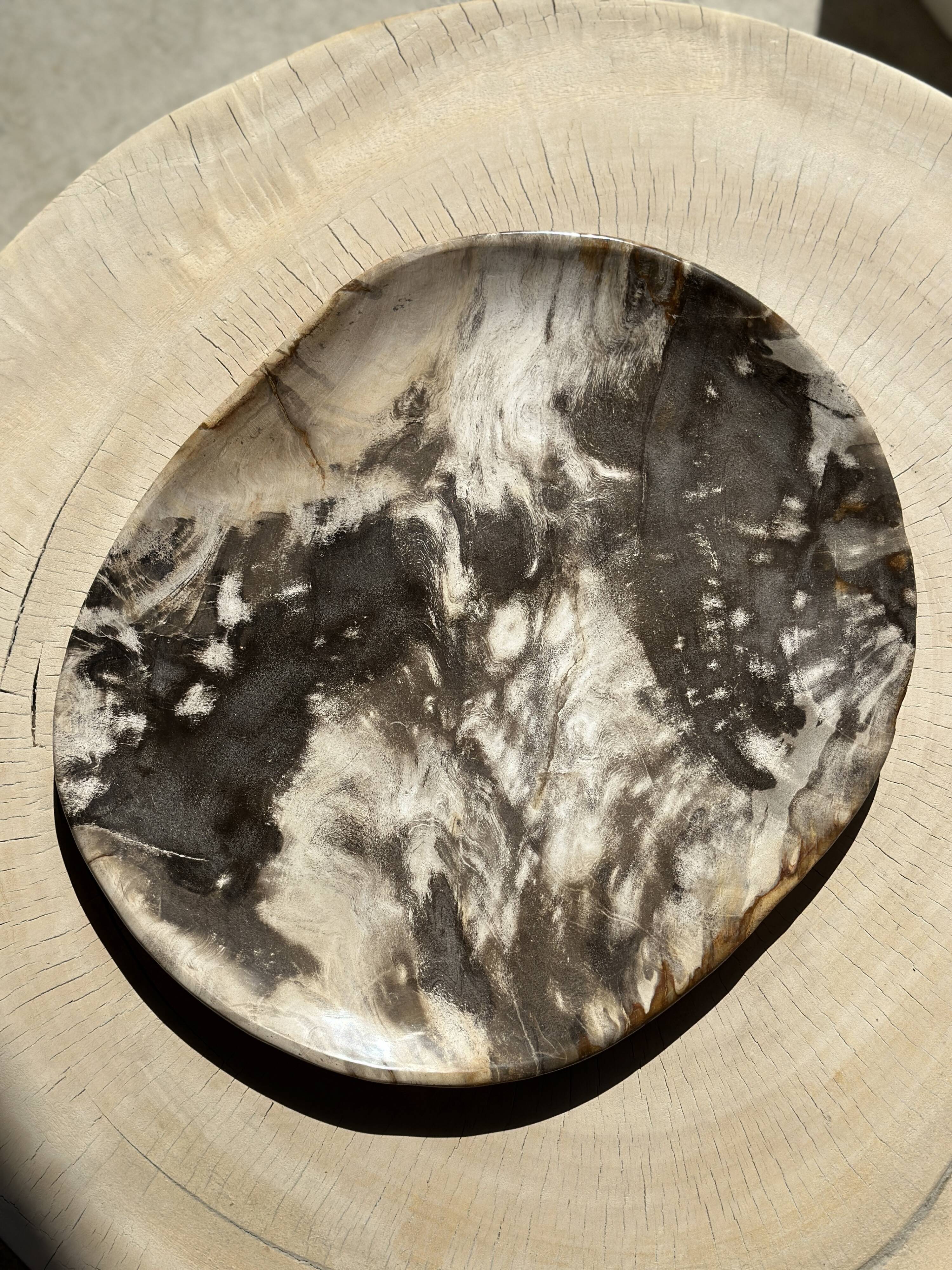 Very large pocket or dish in petrified wood