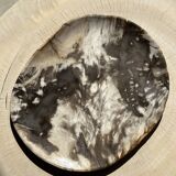 Very large pocket or dish in petrified wood