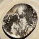Very large pocket or dish in petrified wood