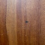 Marquetry tray of different types of wood