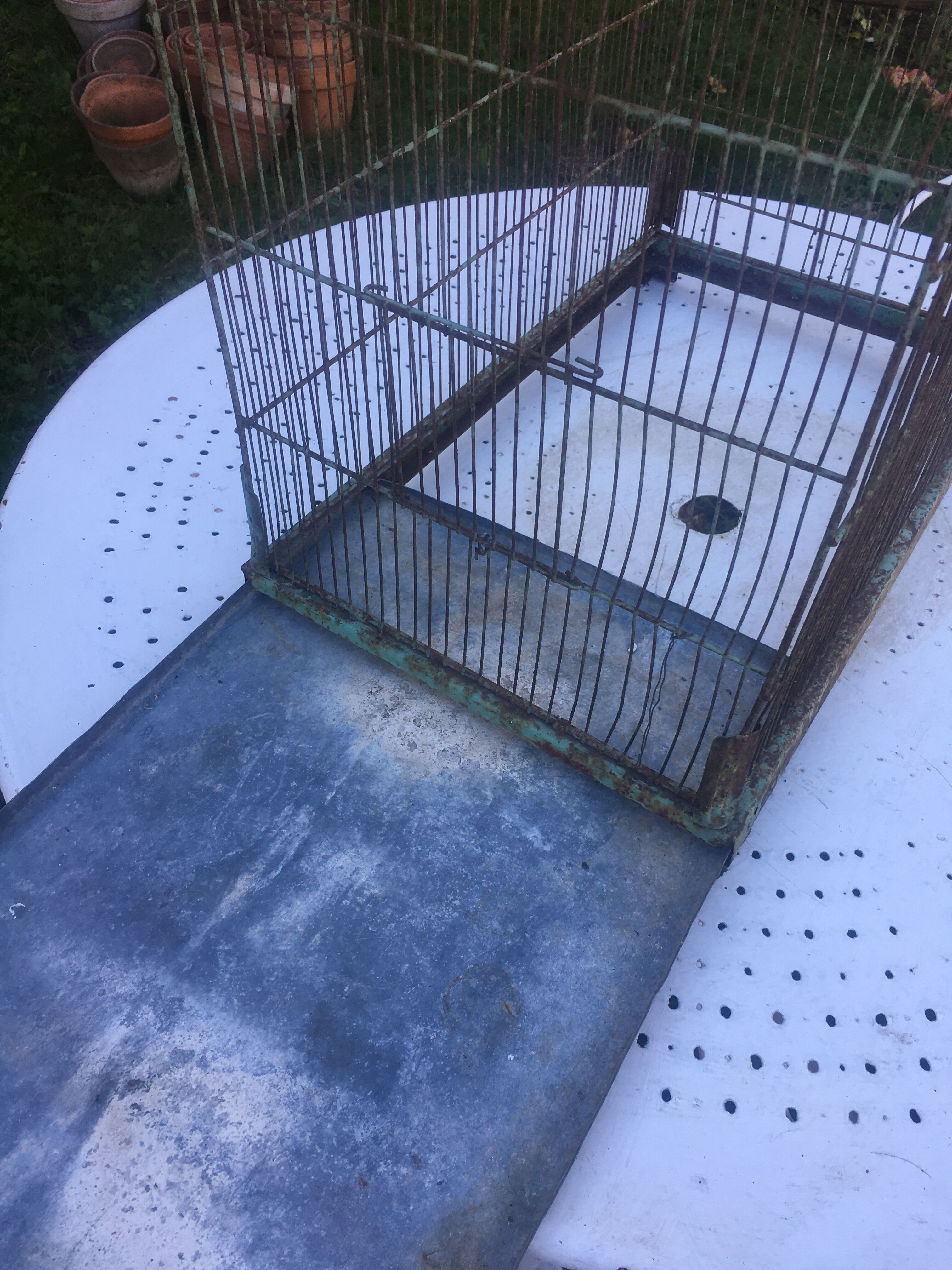 Metal bird cage