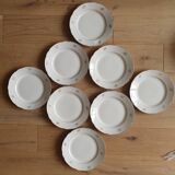 Set of 8 Villeroy and Boch dinner plates