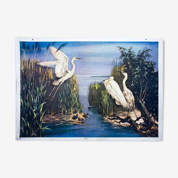 Poster "Egret" by Zerritsch 1926