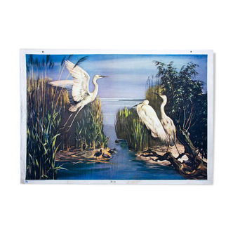 Poster "Egret" by Zerritsch 1926