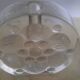 Duo de soliflores design