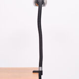 Rare Big "Hebi" Lamp by Isao Hosoe for Valenti, Italy