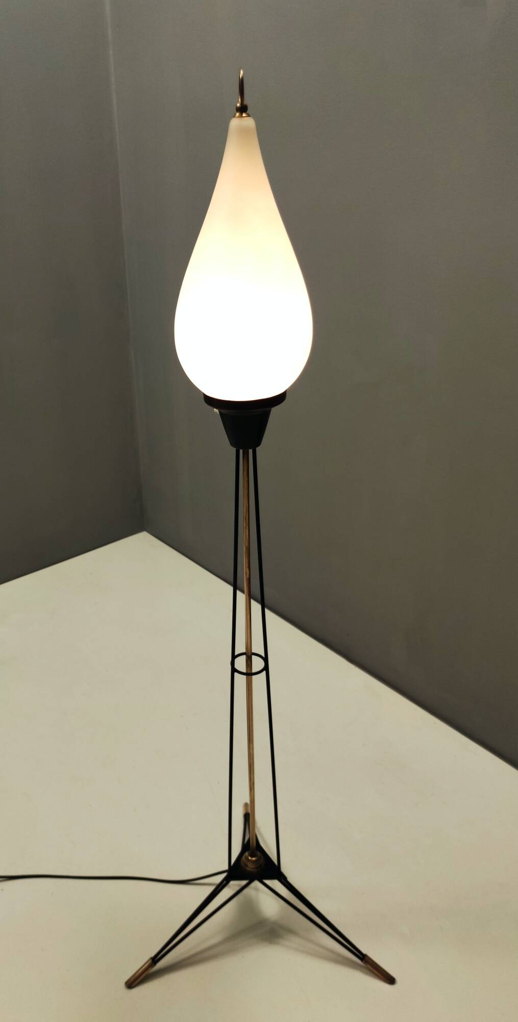 White Opaline Glass and Black Iron Floor Lamp by Stilnovo, Italy