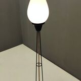White Opaline Glass and Black Iron Floor Lamp by Stilnovo, Italy