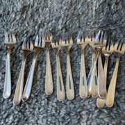 Box of 12 cake forks