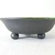 Fruit cup in black ceramic matte