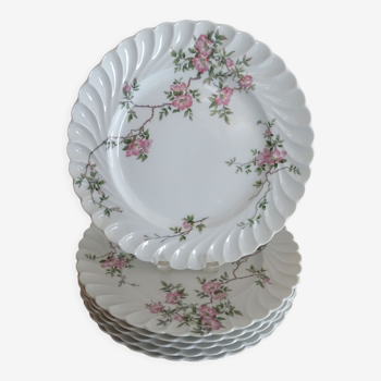 6 flat porcelain plates Limoges Haviland