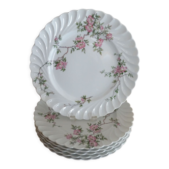 6 assiettes plates porcelaine Limoges Haviland