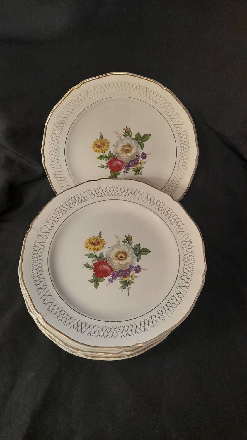 Set of 11 Ceranor St Amand Semi Vitrified Sapho plates