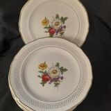 Set of 11 Ceranor St Amand Semi Vitrified Sapho plates