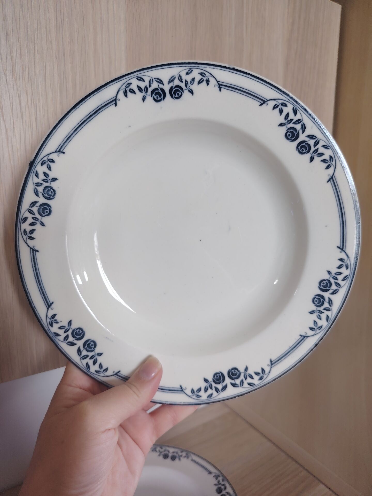 Deep plates ironstone Saussure