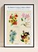Poster featuring nasturtiums, ornamental tobacco, nigella, and pansies
