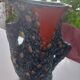 Ancien vase fatlava, style Vallauris