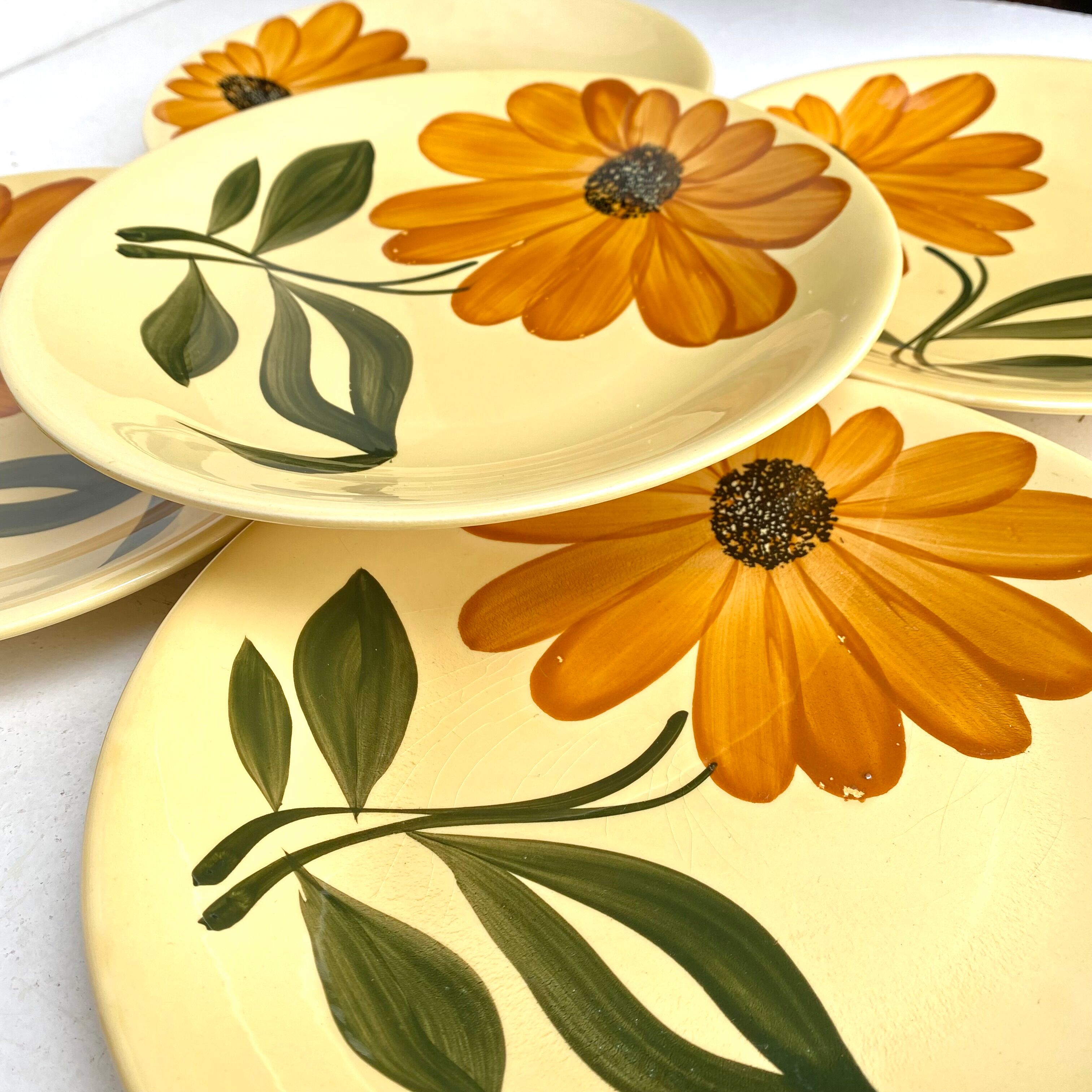 Porcelain plates from gien