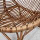 Mid century rattan shell-shaped chairs 1950s