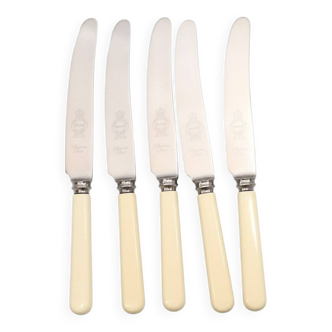 Box of 5 dessert knives in Sheffield steel with imitation bone handle.