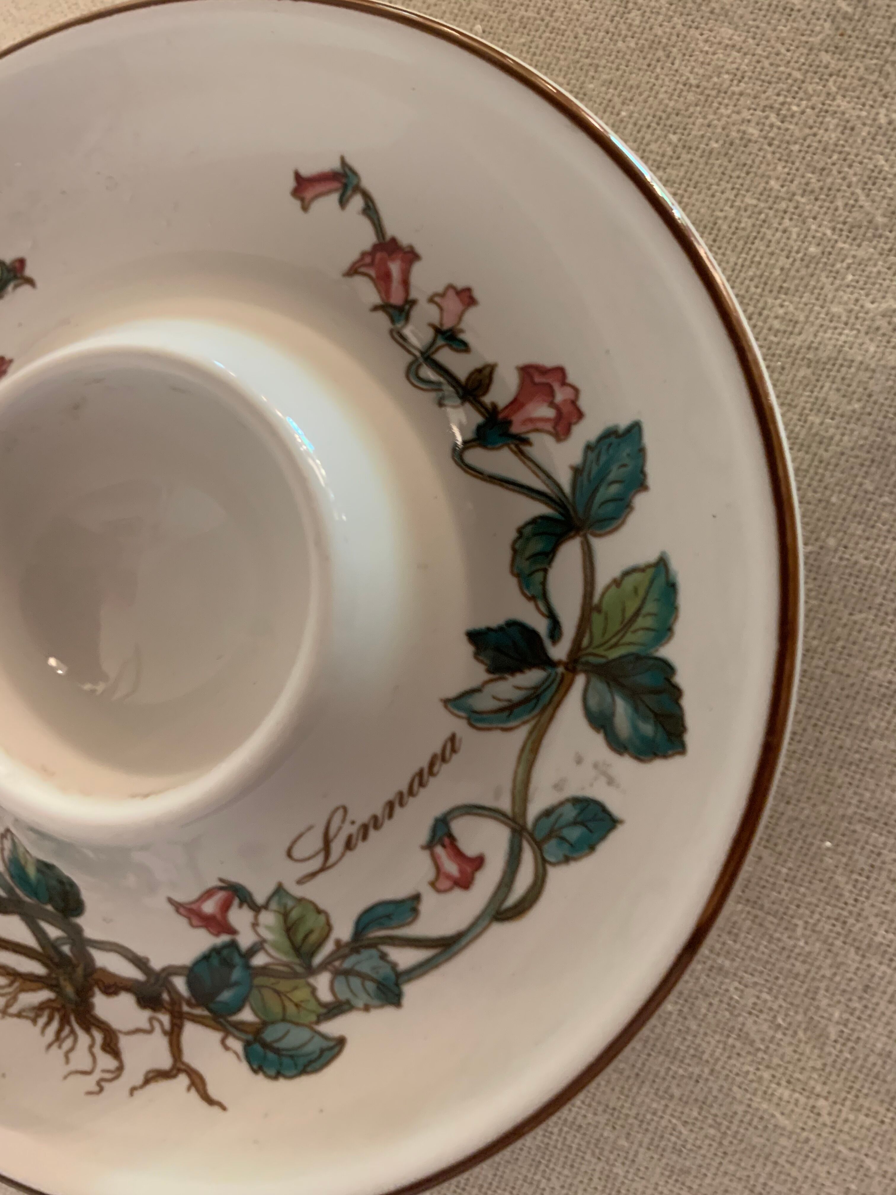 Pair of cockroaches Botanica Linnaea or Twinflower de Villeroy and Boch