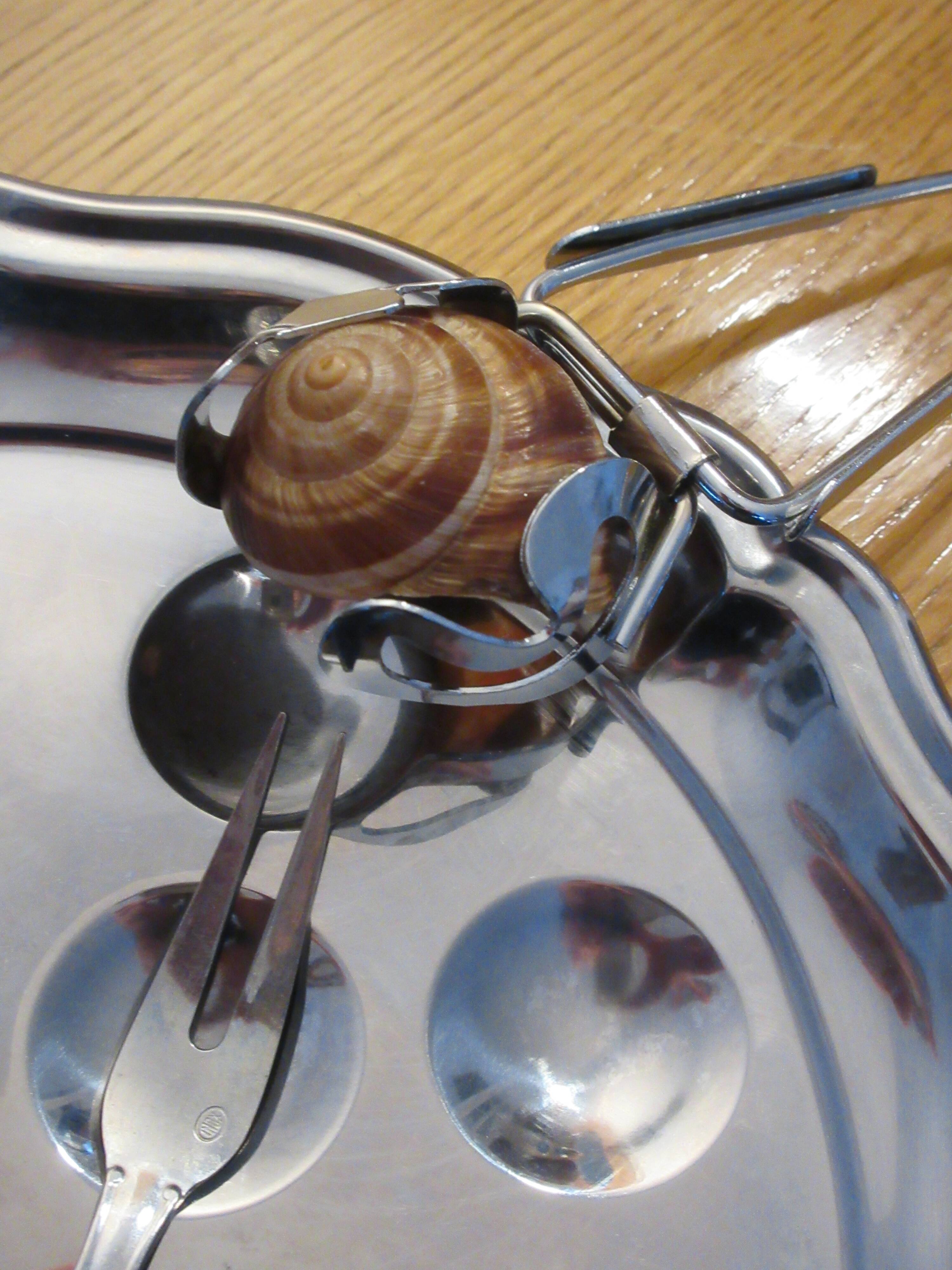 6-person Couzon snail service