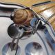 6-person Couzon snail service