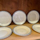 Blue Iron Earth plates