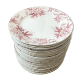 Iron earth dessert plates