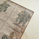 Lithograph botanical plate enhanced with watercolour.