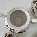 Vintage Johnson Brothers “Devon Sprays” Set