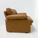 Pair of 'Coronado' armchairs by Afra & Tobia Scarpa for B&B Italia